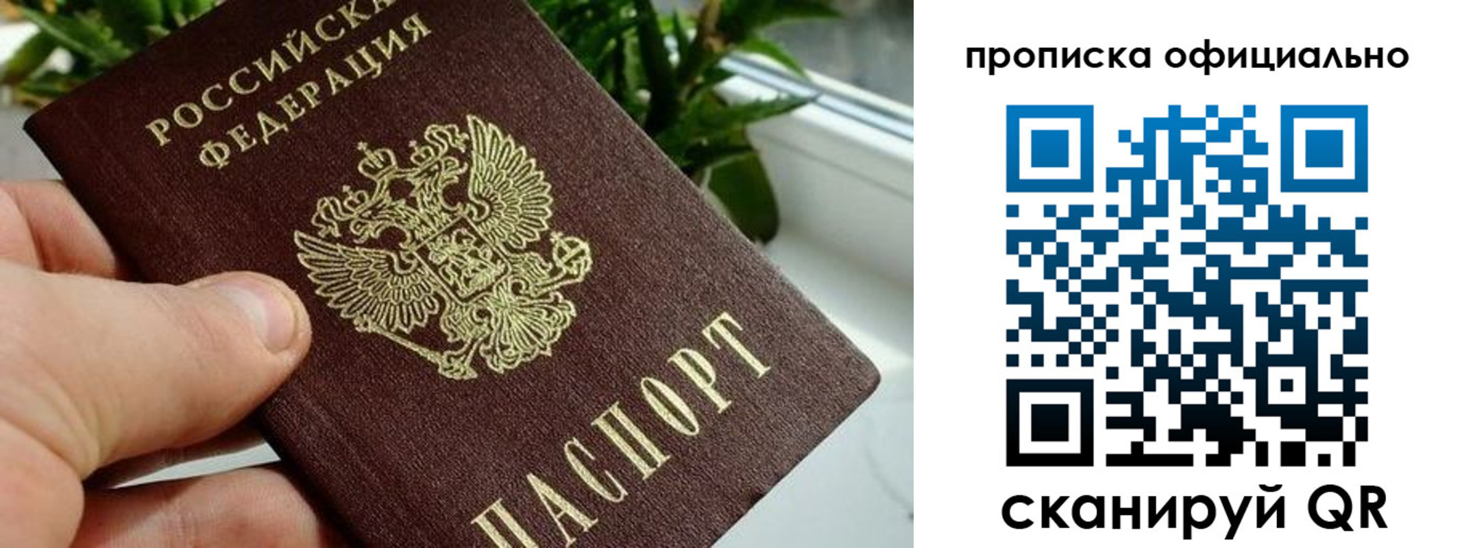 прописка поиск в Калачинске